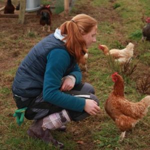 weltweiser · WWOOFing im Hühnerstall